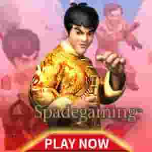 steadyGame_04_spadegaming